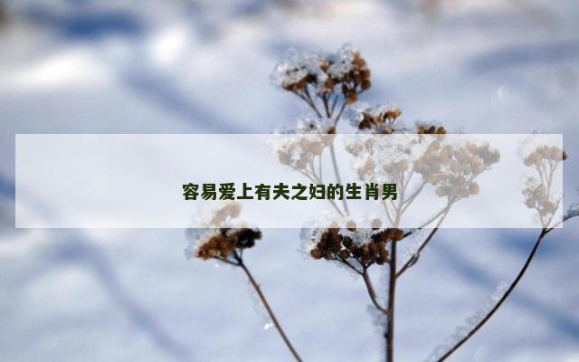 容易爱上有夫之妇的生肖男