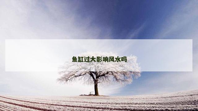 鱼缸过大影响风水吗