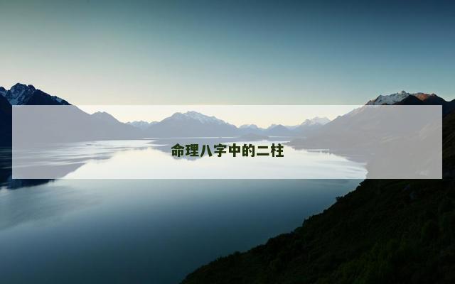 命理八字中的二柱