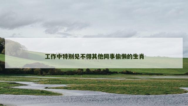 工作中特别见不得其他同事偷懒的生肖