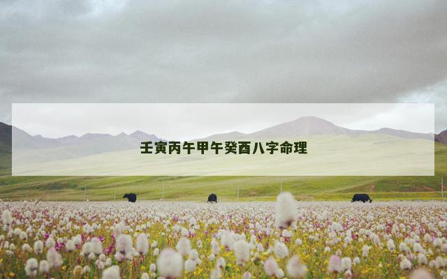 壬寅丙午甲午癸酉八字命理
