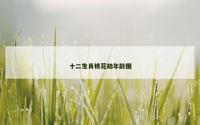 十二生肖桃花劫年龄图