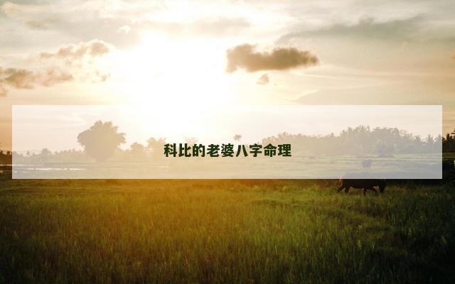 科比的老婆八字命理
