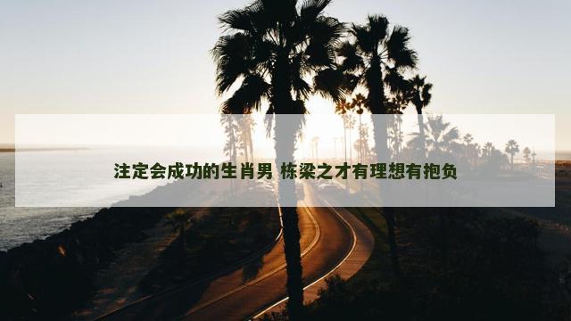 注定会成功的生肖男 栋梁之才有理想有抱负