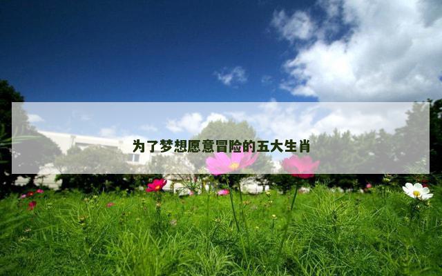 为了梦想愿意冒险的五大生肖