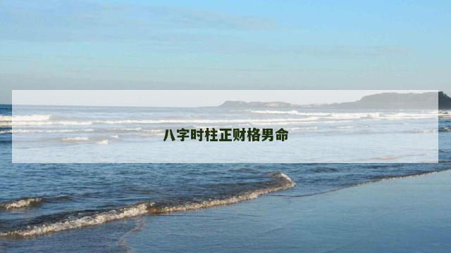八字时柱正财格男命