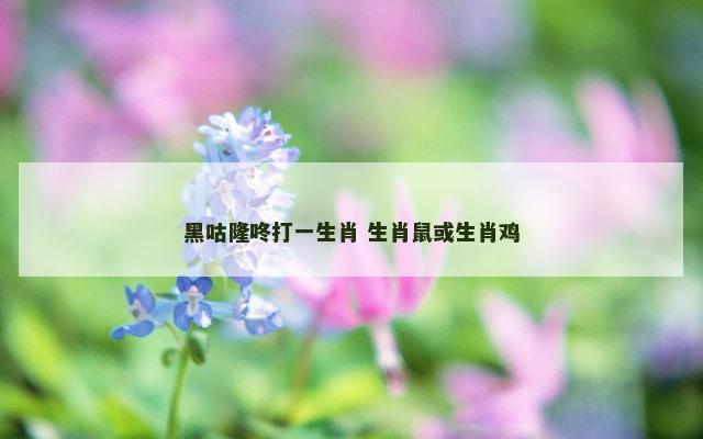黑咕隆咚打一生肖 生肖鼠或生肖鸡