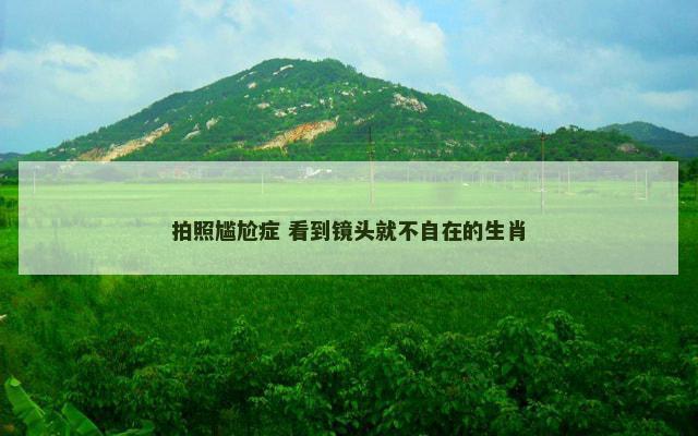 拍照尴尬症 看到镜头就不自在的生肖