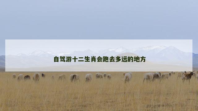 自驾游十二生肖会跑去多远的地方
