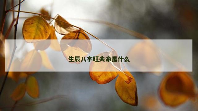 生辰八字旺夫命是什么