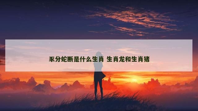 豕分蛇断是什么生肖 生肖龙和生肖猪