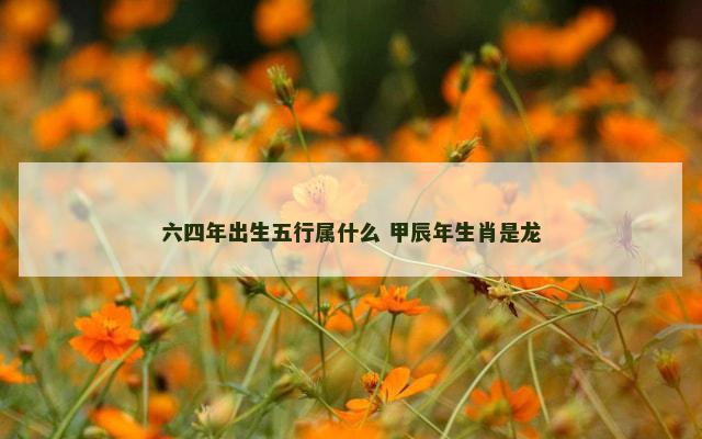 六四年出生五行属什么 甲辰年生肖是龙
