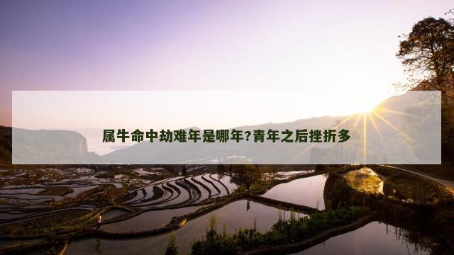 属牛命中劫难年是哪年?青年之后挫折多