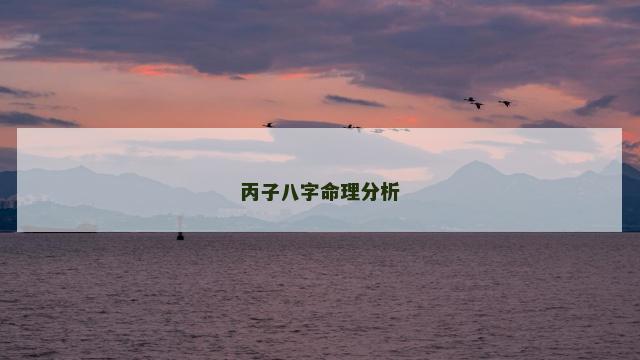 丙子八字命理分析