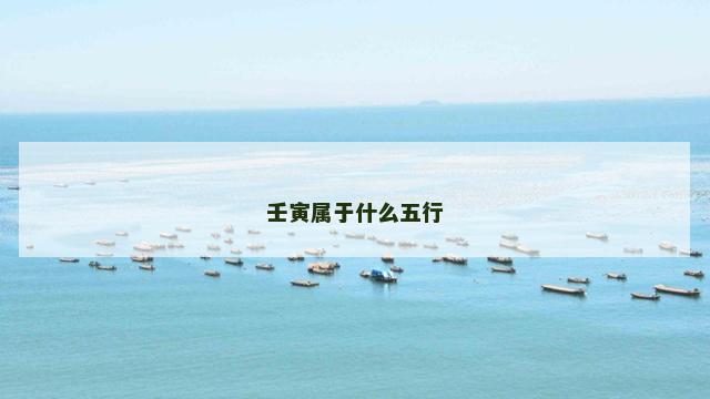 壬寅属于什么五行
