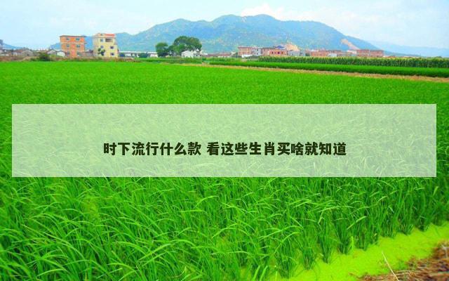 时下流行什么款 看这些生肖买啥就知道