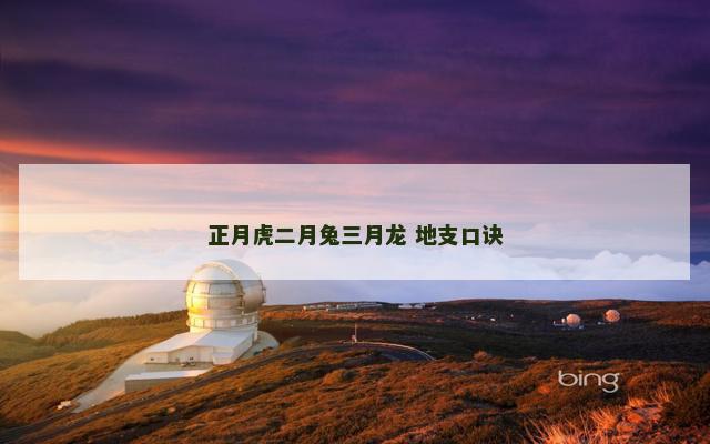 正月虎二月兔三月龙 地支口诀