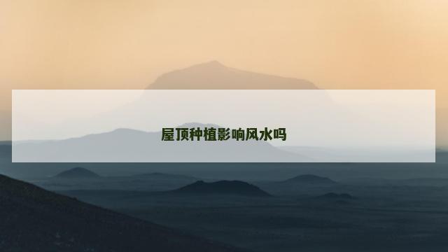 屋顶种植影响风水吗