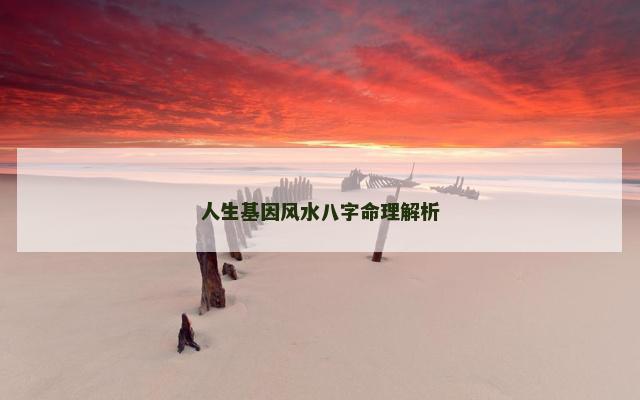 人生基因风水八字命理解析