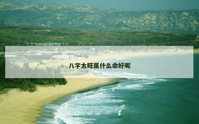 八字太旺属什么命好呢
