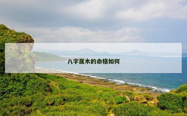 八字属木的命格如何