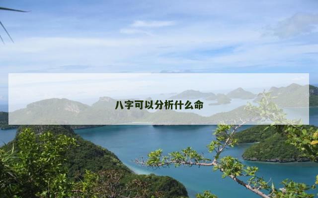八字可以分析什么命