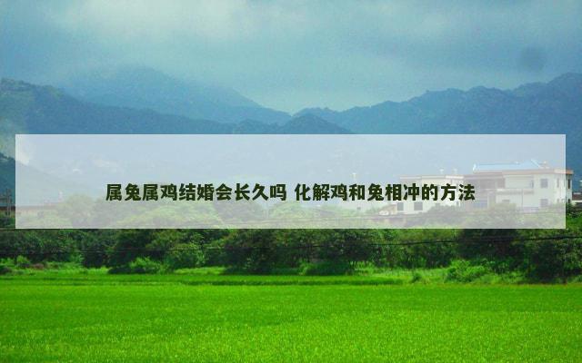属兔属鸡结婚会长久吗 化解鸡和兔相冲的方法