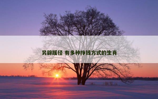 另辟蹊径 有多种挣钱方式的生肖