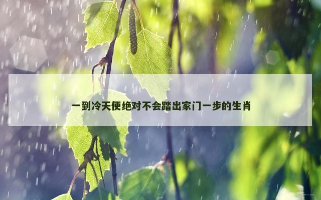 一到冷天便绝对不会踏出家门一步的生肖