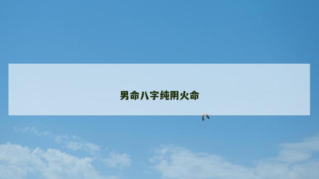 男命八字纯阴火命