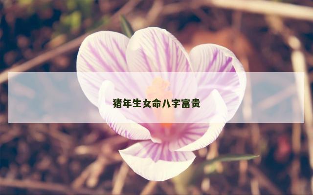 猪年生女命八字富贵