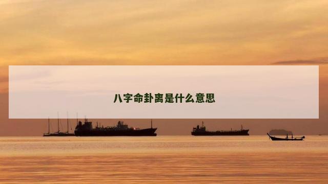 八字命卦离是什么意思