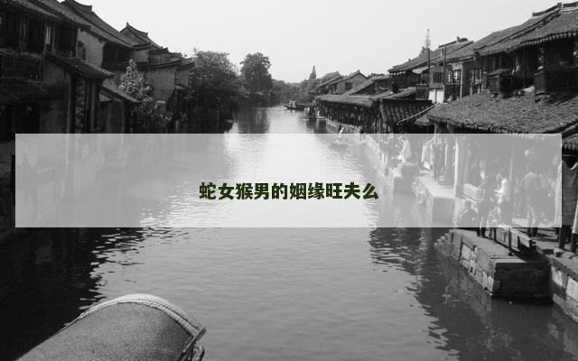 蛇女猴男的姻缘旺夫么