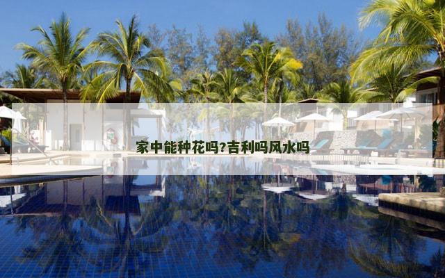 家中能种花吗?吉利吗风水吗