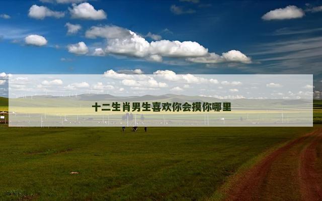 十二生肖男生喜欢你会摸你哪里