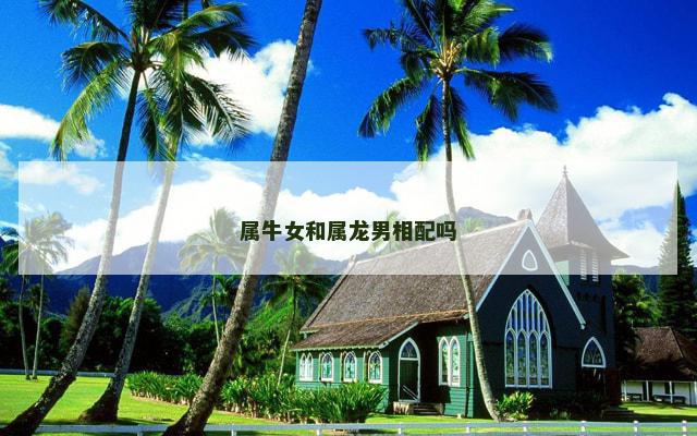 属牛女和属龙男相配吗