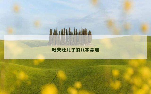 旺夫旺儿子的八字命理