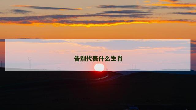 告别代表什么生肖
