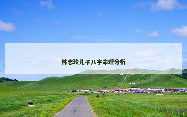 林志玲儿子八字命理分析