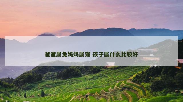 爸爸属兔妈妈属猴 孩子属什么比较好