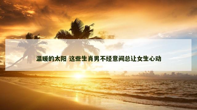 温暖的太阳 这些生肖男不经意间总让女生心动
