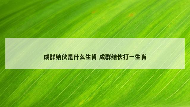 成群结伙是什么生肖 成群结伙打一生肖