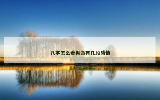 八字怎么看男命有几段感情