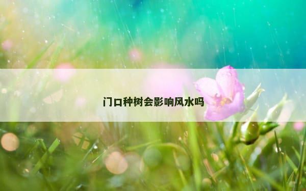 门口种树会影响风水吗