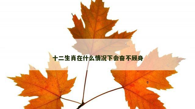 十二生肖在什么情况下会奋不顾身