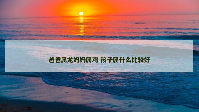 爸爸属龙妈妈属鸡 孩子属什么比较好