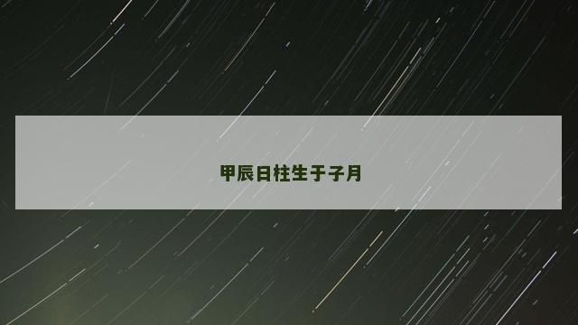 甲辰日柱生于子月