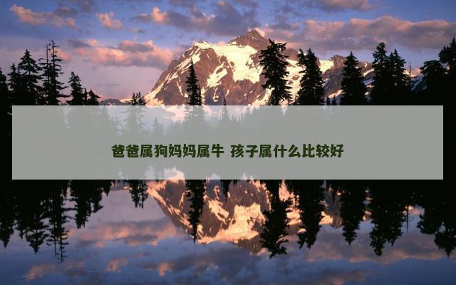 爸爸属狗妈妈属牛 孩子属什么比较好