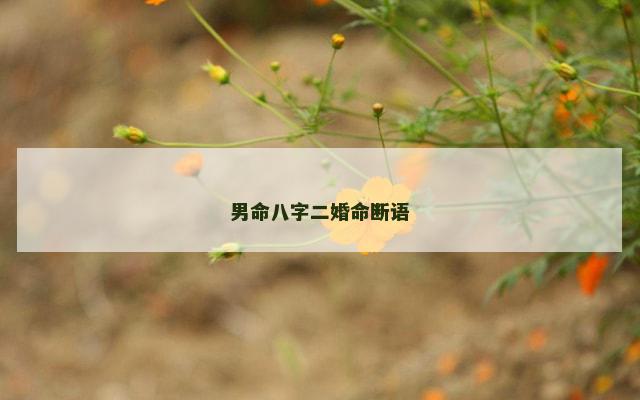 男命八字二婚命断语