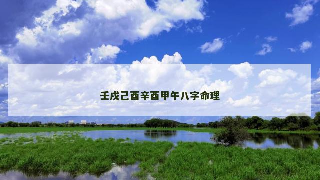 壬戌己酉辛酉甲午八字命理